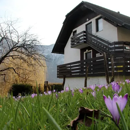 Apartments Tatjana Bovec Exterior photo