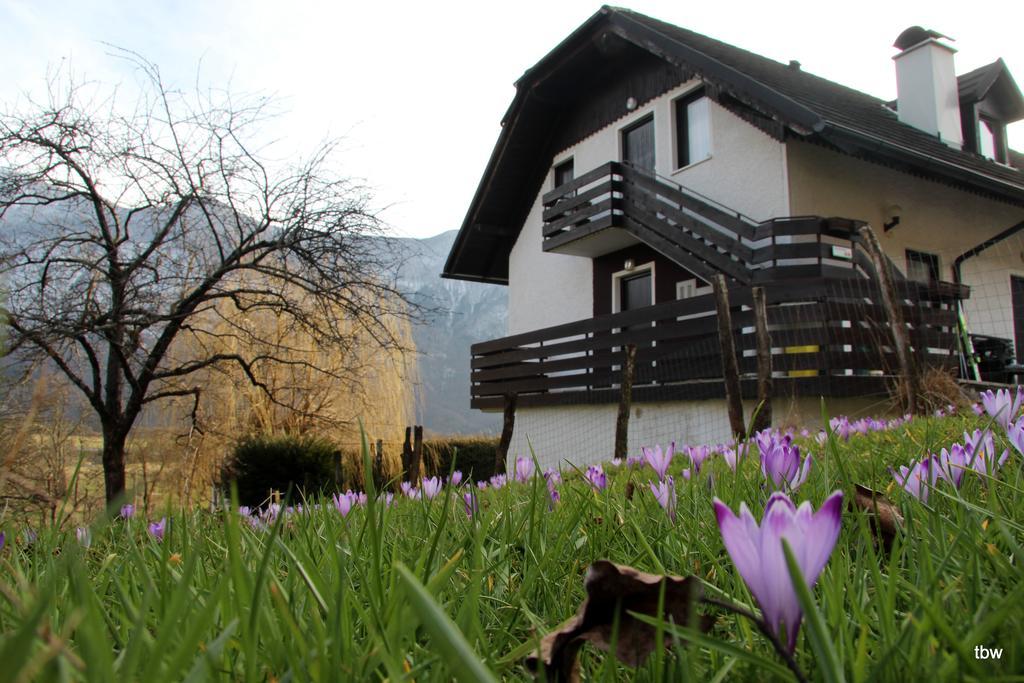 Tatjana * Bovec