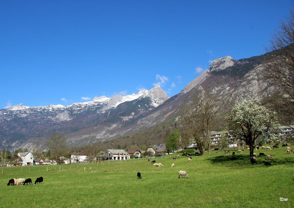 Apartment Tatjana Bovec